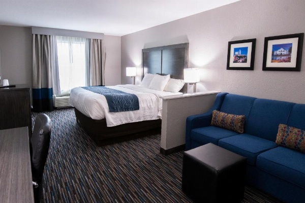 Comfort Inn & Suites Near Medical Center image 31